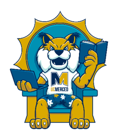 Summer Scholars LLC logo